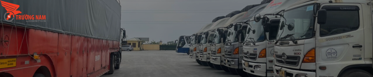 Dịch vụ vận chuyển Trường Nam Logistics