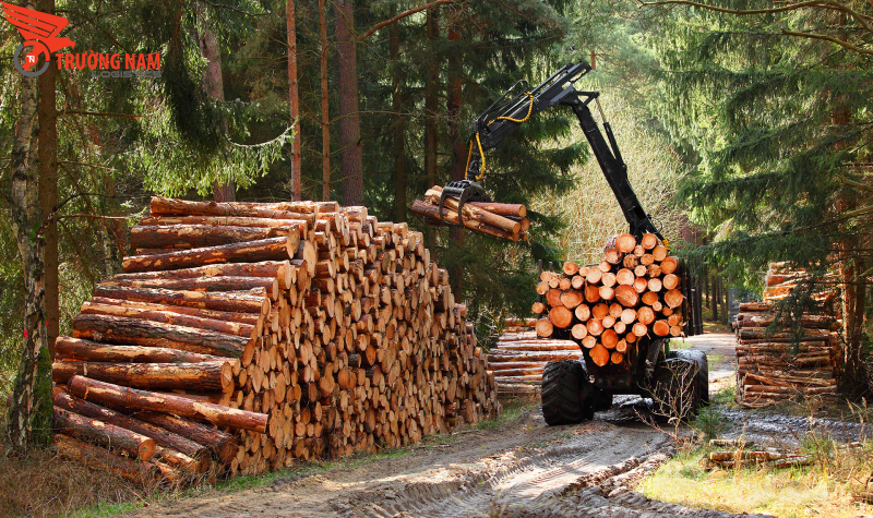 Trường Nam nhận vận chuyển đa dạng các loại gỗ