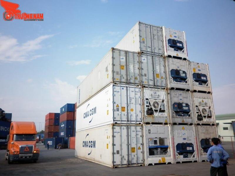 Dịch vụ vận chuyển thanh long Bắc Nam, xuất khẩu giá tốt nhất 4 Độ ẩm và cài đặt thông gió