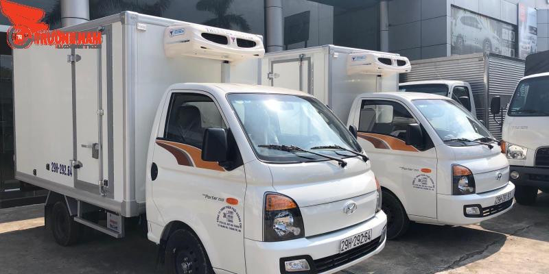 Dịch vụ vận chuyển thanh long Bắc Nam, xuất khẩu giá tốt nhất 9 Trường Nam Logistics