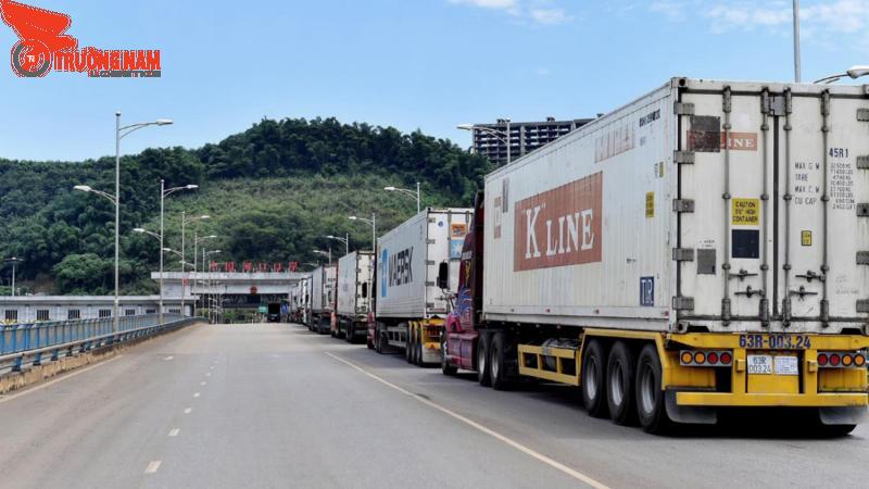 Dịch vụ vận chuyển thanh long Bắc Nam, xuất khẩu giá tốt nhất 10 Trường Nam Logistics