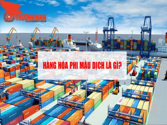 Khái niệm về hàng hóa mậu dịch được nêu rõ trong Luật thương mại