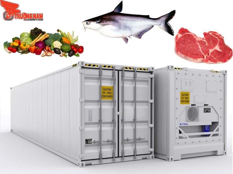 Container lạnh là gì? Tổng hợp kiến thức từ A-Z về cont lạnh 6 Trường Nam Logistics