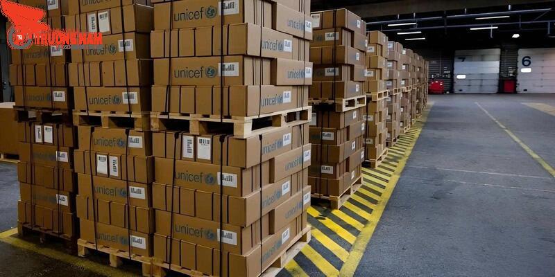 Kỹ thuật xếp Pallet chuẩn