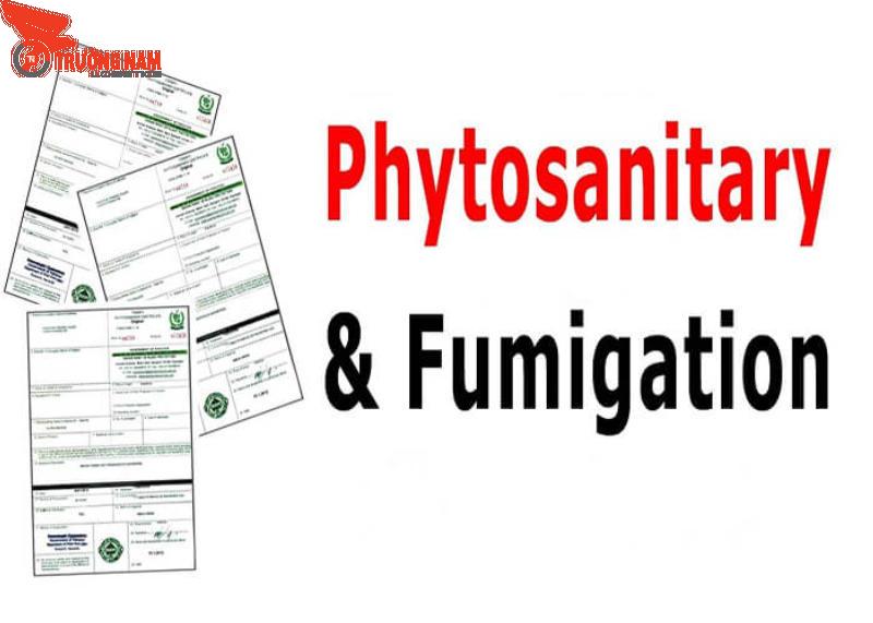 Điểm khác nhau giữa Phytosanitary và Fumigation Certificate