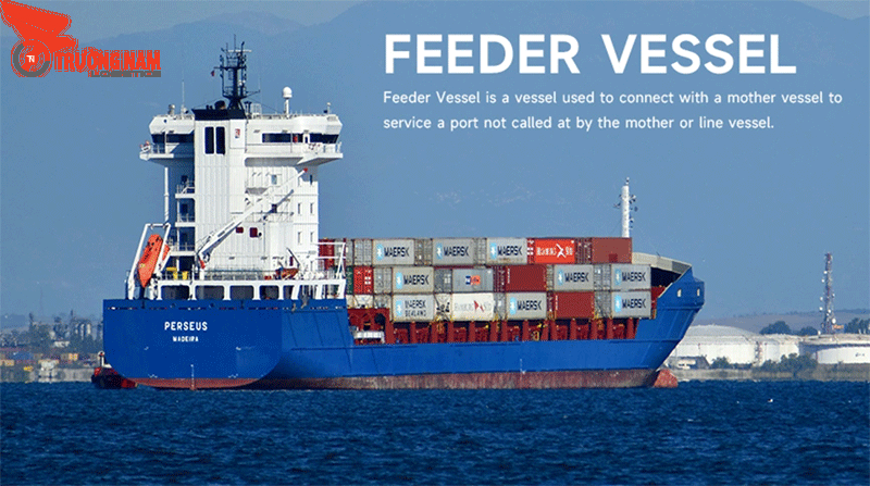 Thuật ngữ Feeder Vessel quá quen thuộc với người làm dịch vụ vận chuyển hàng hoá trên biển