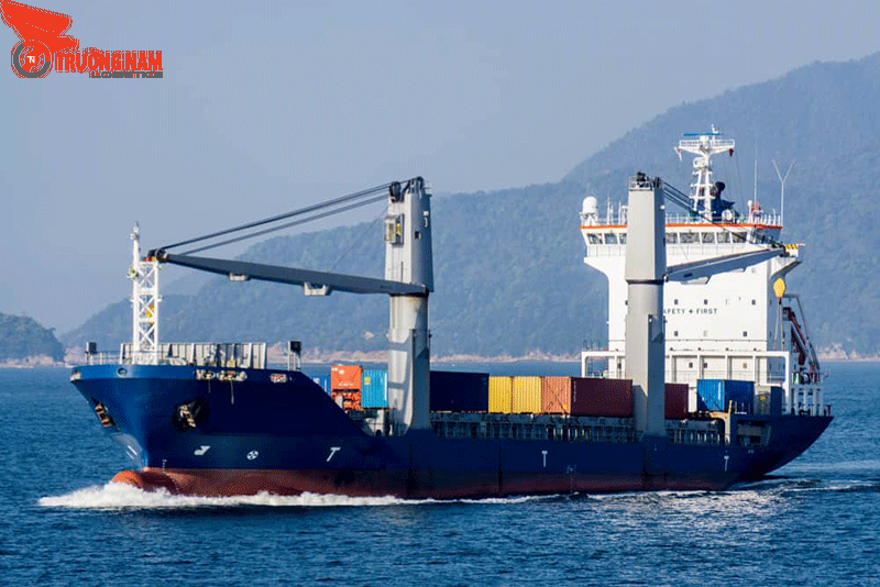 Có khá nhiều loại tàu Feeder Vessel