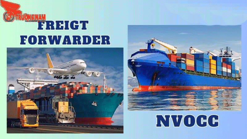 Freight Forwarder và NVOCC có nhiều điểm khác nhau