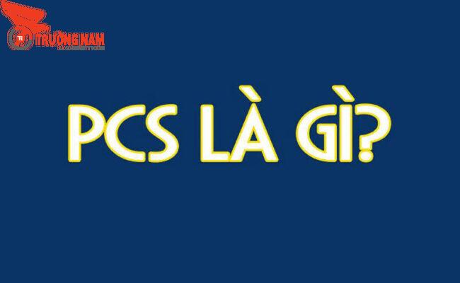 PCS là gì trong xuất nhập khẩu