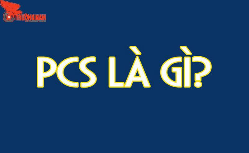 PCS là gì trong xuất nhập khẩu