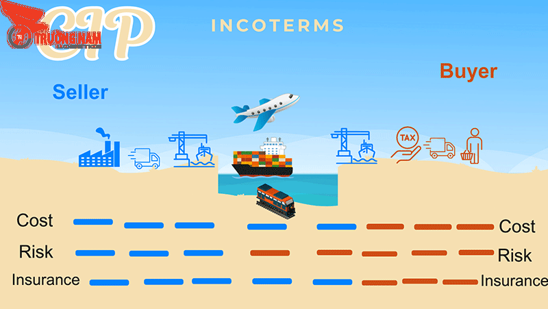 CIP là gì? Giải thích thuật ngữ CIP trong thương mại quốc tế