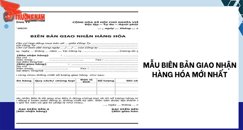 Trường Nam Logistics
