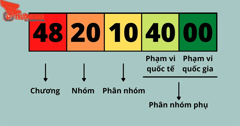 HS Code Là Gì? Tìm Hiểu Chi Tiết Về Mã Số Phân Loại Hàng Hóa 3 Cấu trúc cơ bản của mã HS Code