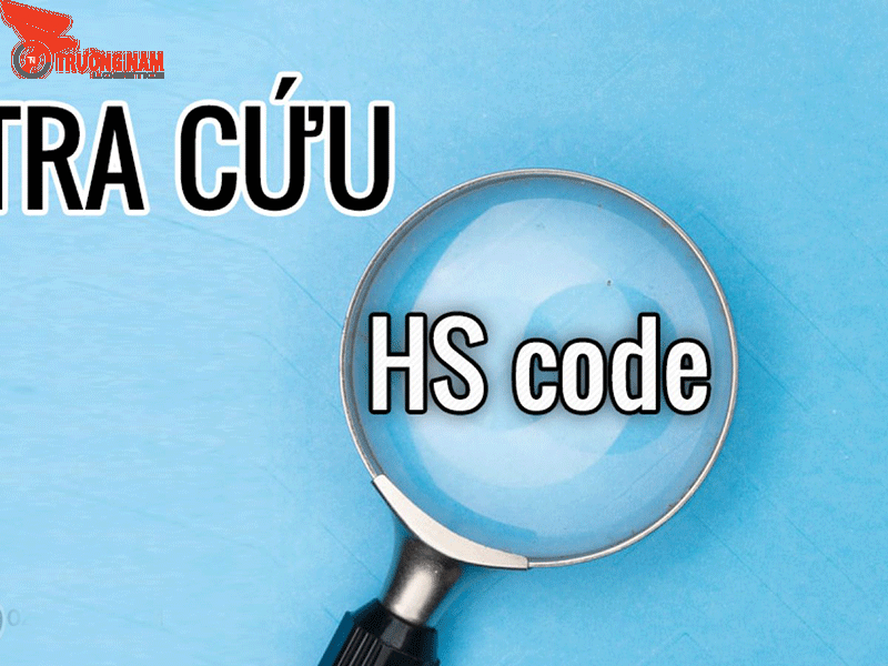 HS Code Là Gì? Tìm Hiểu Chi Tiết Về Mã Số Phân Loại Hàng Hóa 7 Dùng công cụ hỗ trợ khi tra cứu để có kết quả tốt nhất