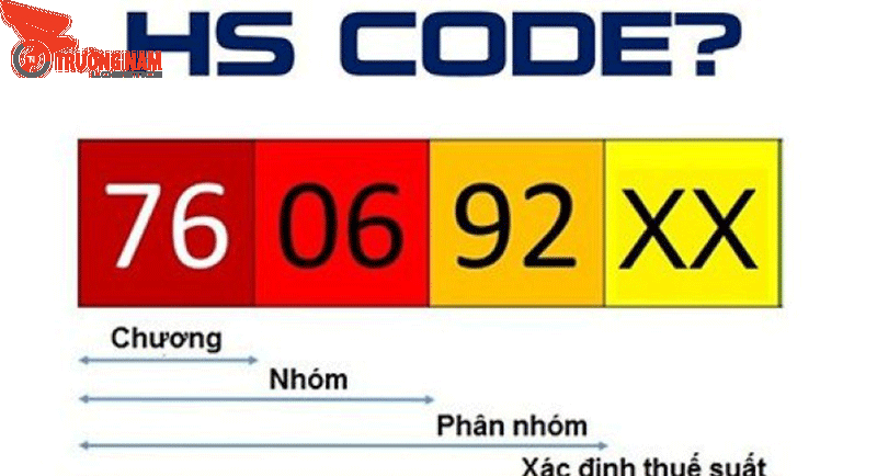 HS Code Là Gì? Tìm Hiểu Chi Tiết Về Mã Số Phân Loại Hàng Hóa