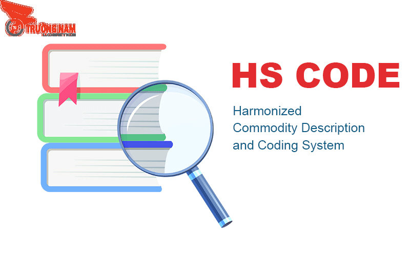 HS Code Là Gì? Tìm Hiểu Chi Tiết Về Mã Số Phân Loại Hàng Hóa 11 Mã Hs Code trên thế giới không giống nhau