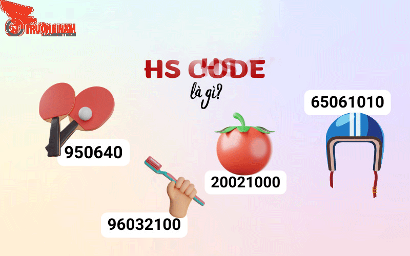 HS Code Là Gì? Tìm Hiểu Chi Tiết Về Mã Số Phân Loại Hàng Hóa 8 Muốn tra cứu chính xác mã hs code phải nhớ cấu trúc của mã