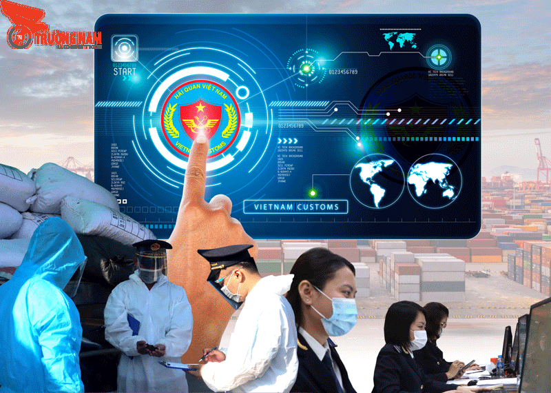 HS Code Là Gì? Tìm Hiểu Chi Tiết Về Mã Số Phân Loại Hàng Hóa 9 Tổ chức hải quan thế giới quy định mã HS Code