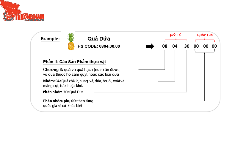 HS Code Là Gì? Tìm Hiểu Chi Tiết Về Mã Số Phân Loại Hàng Hóa 10 Xác định đúng mã HS Code rất quan trọng