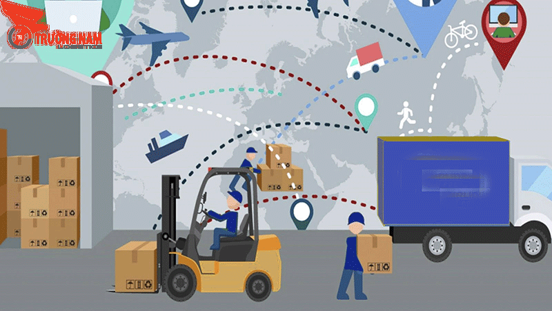 STC là gì? Giải mã ý nghĩa STC trong Logistics | Trường Nam Logistics 5 Nhân viên phụ trách ký nhận hàng hoá đóng vai trò quan trọng