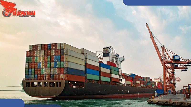 Cách Tra Cứu Container Nhanh, Chính Xác | Trường Nam Logistics 1 Cách tra cứu container không khó như nhiều người vẫn nhầm tưởng