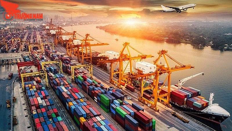 POA Là Gì Trong Xuất Nhập Khẩu? A-Z Về Giấy Ủy Quyền 4 POA có giá trị pháp lý trong nhiều trường hợp