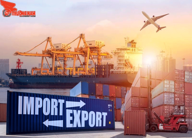 POA Là Gì Trong Xuất Nhập Khẩu? A-Z Về Giấy Ủy Quyền 3 POA có vai trò đặc biệt quan trọng trong xuất nhập khẩu
