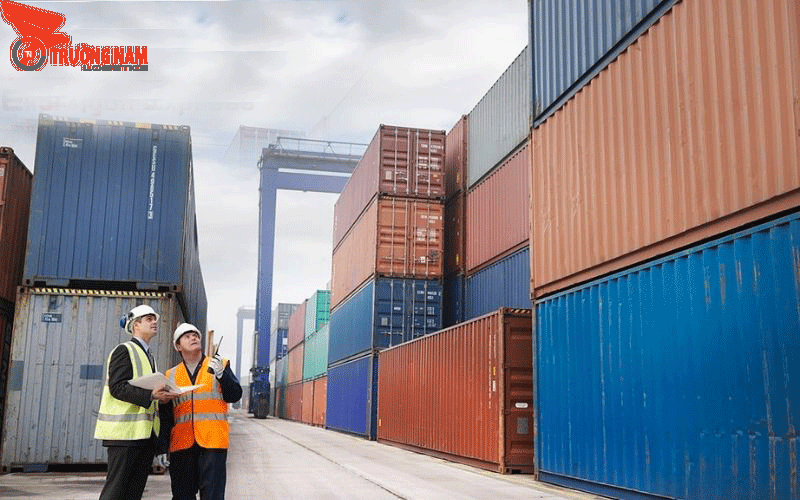 Cách Tra Cứu Container Nhanh, Chính Xác | Trường Nam Logistics 2 Vận chủ động tra cứu giúp ích rất nhiều cho doanh nghiệp