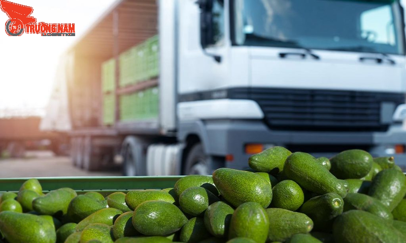 Trường Nam Logistics