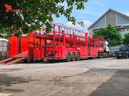 Dịch vụ vận chuyển xe ô tô Đắk Lắk uy tín, an toàn, giao nhận tận nơi