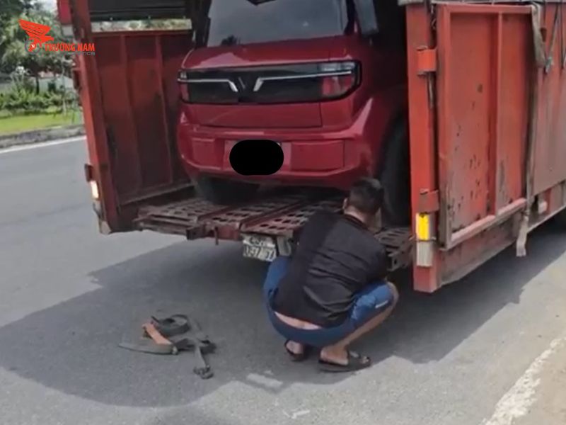 Trường Nam Logistics